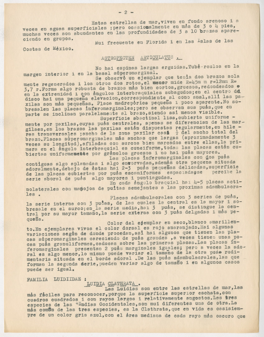 z Estudio de los Echinodermata y Moluscos - New Page