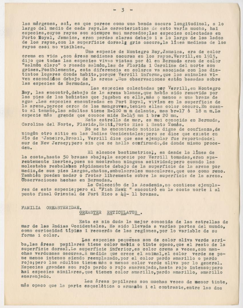 z Estudio de los Echinodermata y Moluscos - New Page