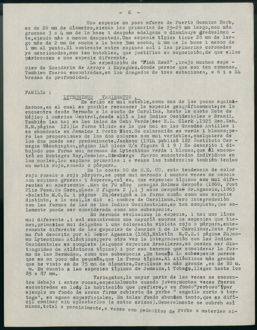 z Estudio de los Echinodermata y Moluscos - New Page