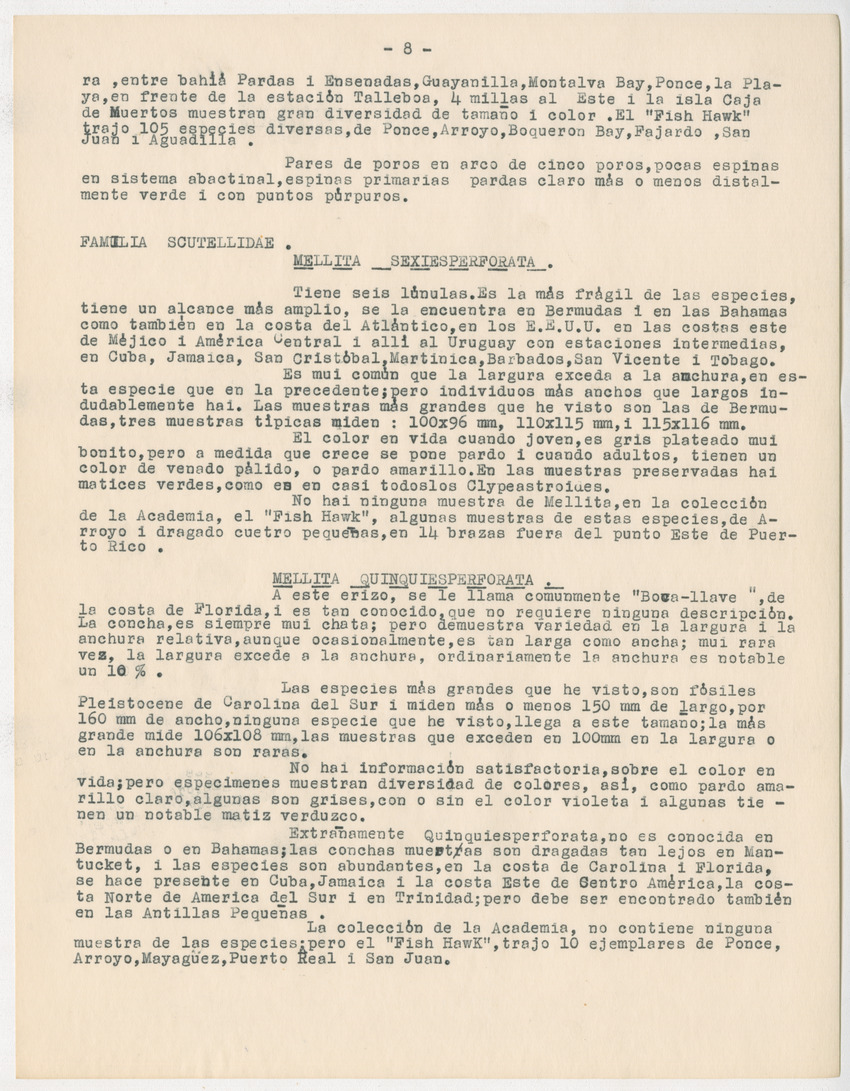 z Estudio de los Echinodermata y Moluscos - New Page