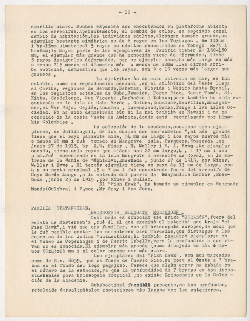 z Estudio de los Echinodermata y Moluscos - New Page