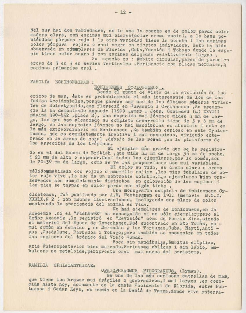 z Estudio de los Echinodermata y Moluscos - New Page