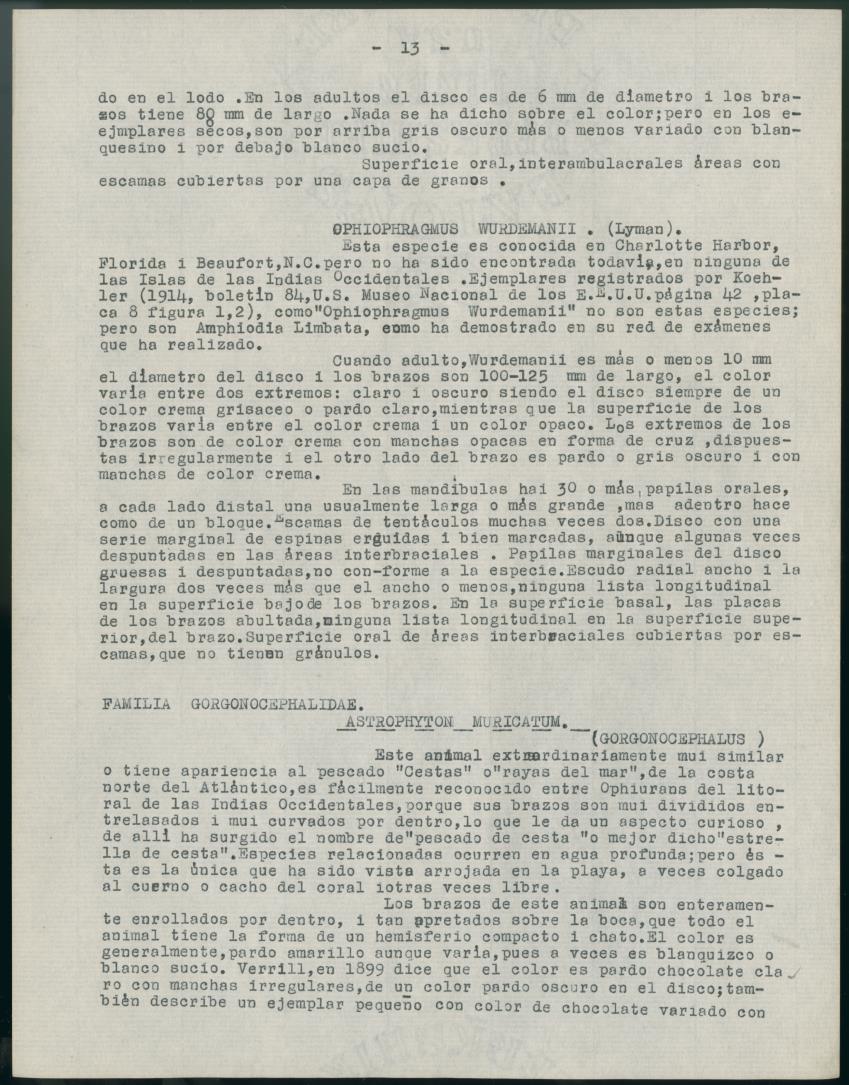 z Estudio de los Echinodermata y Moluscos - New Page