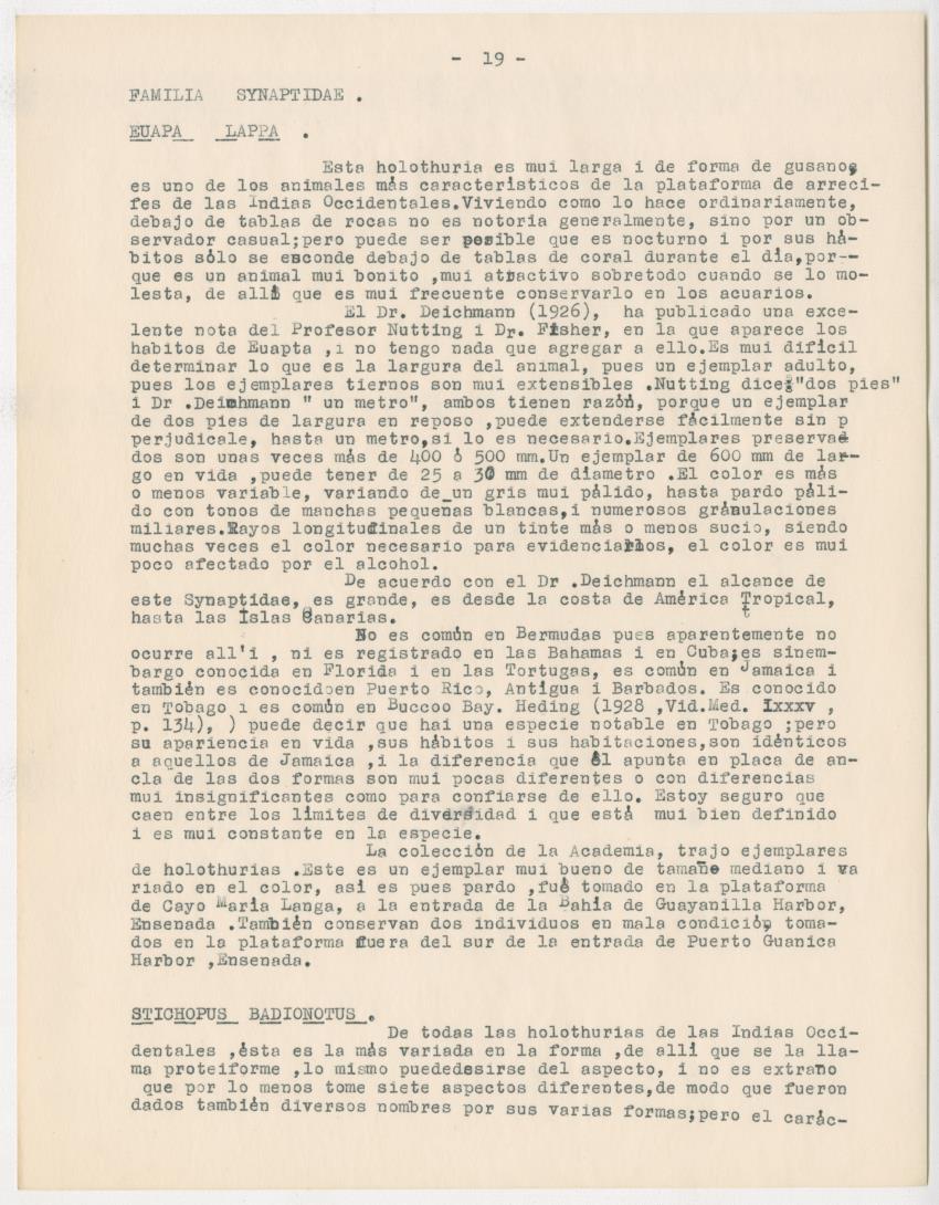 z Estudio de los Echinodermata y Moluscos - New Page