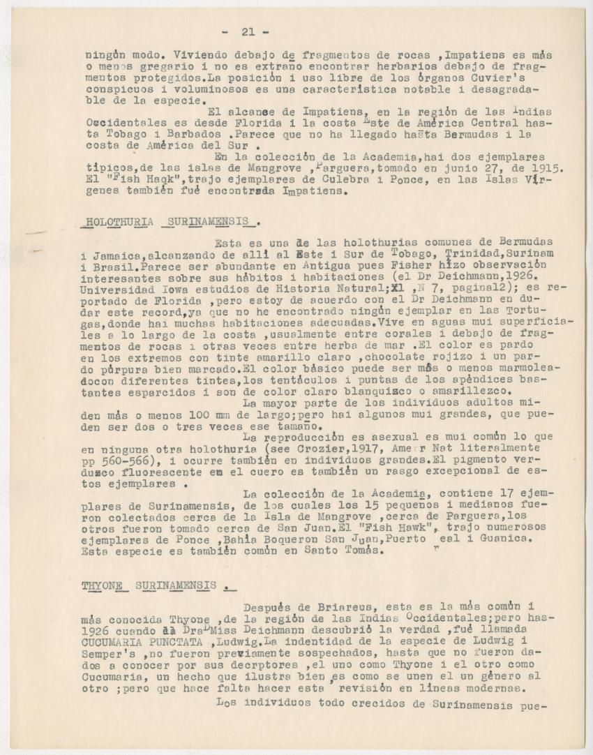 z Estudio de los Echinodermata y Moluscos - New Page