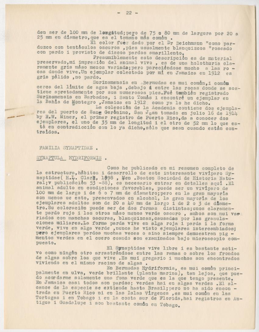 z Estudio de los Echinodermata y Moluscos - New Page