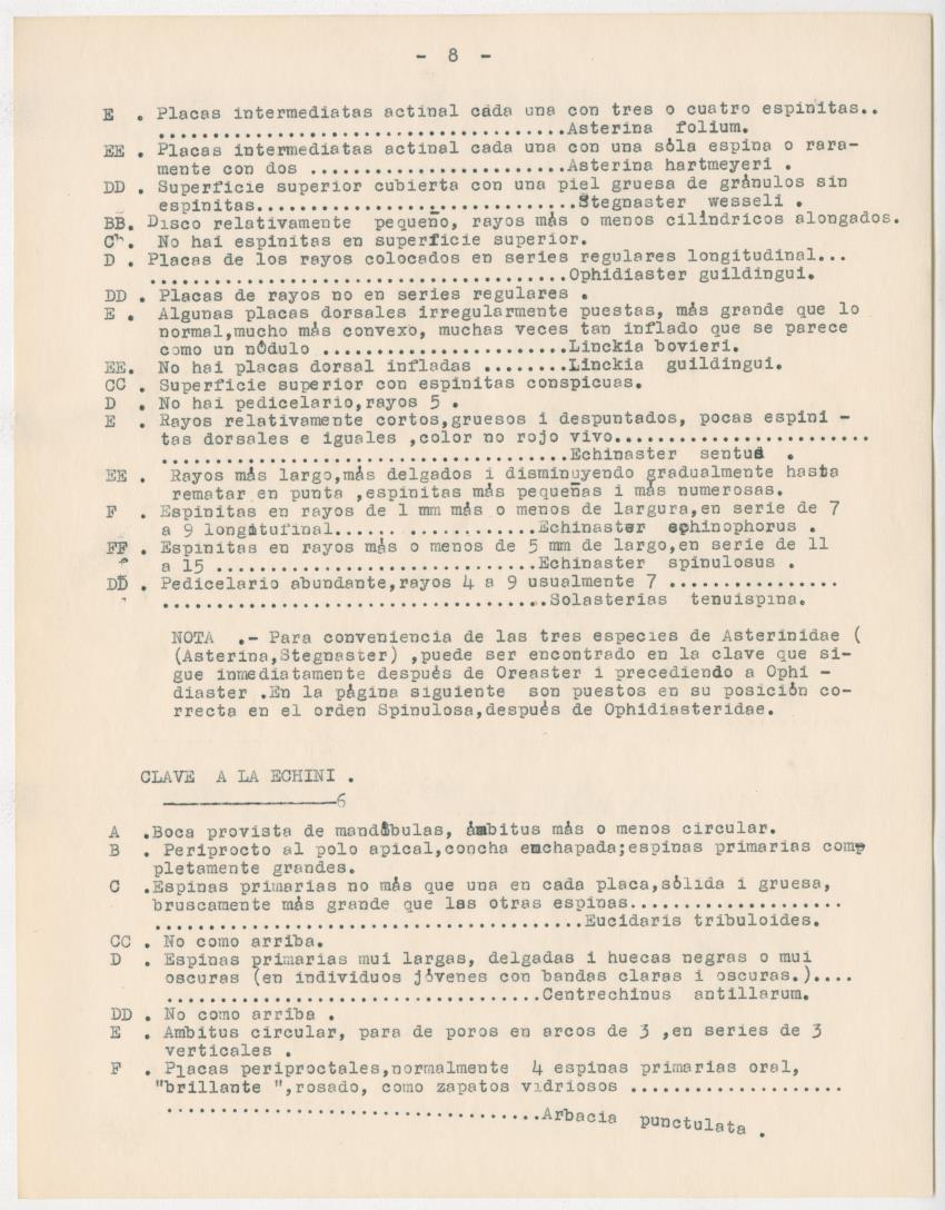 z Estudio de los Echinodermata y Moluscos - New Page