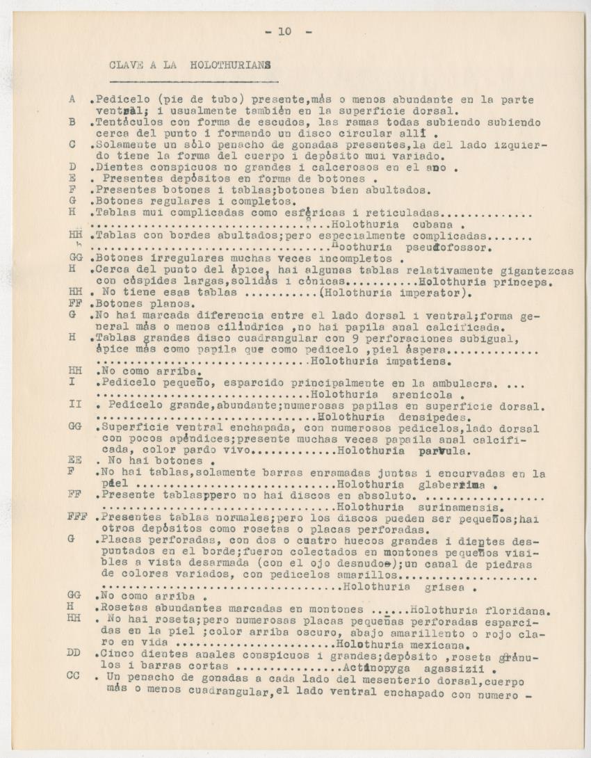 z Estudio de los Echinodermata y Moluscos - New Page