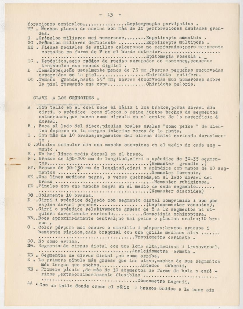z Estudio de los Echinodermata y Moluscos - New Page