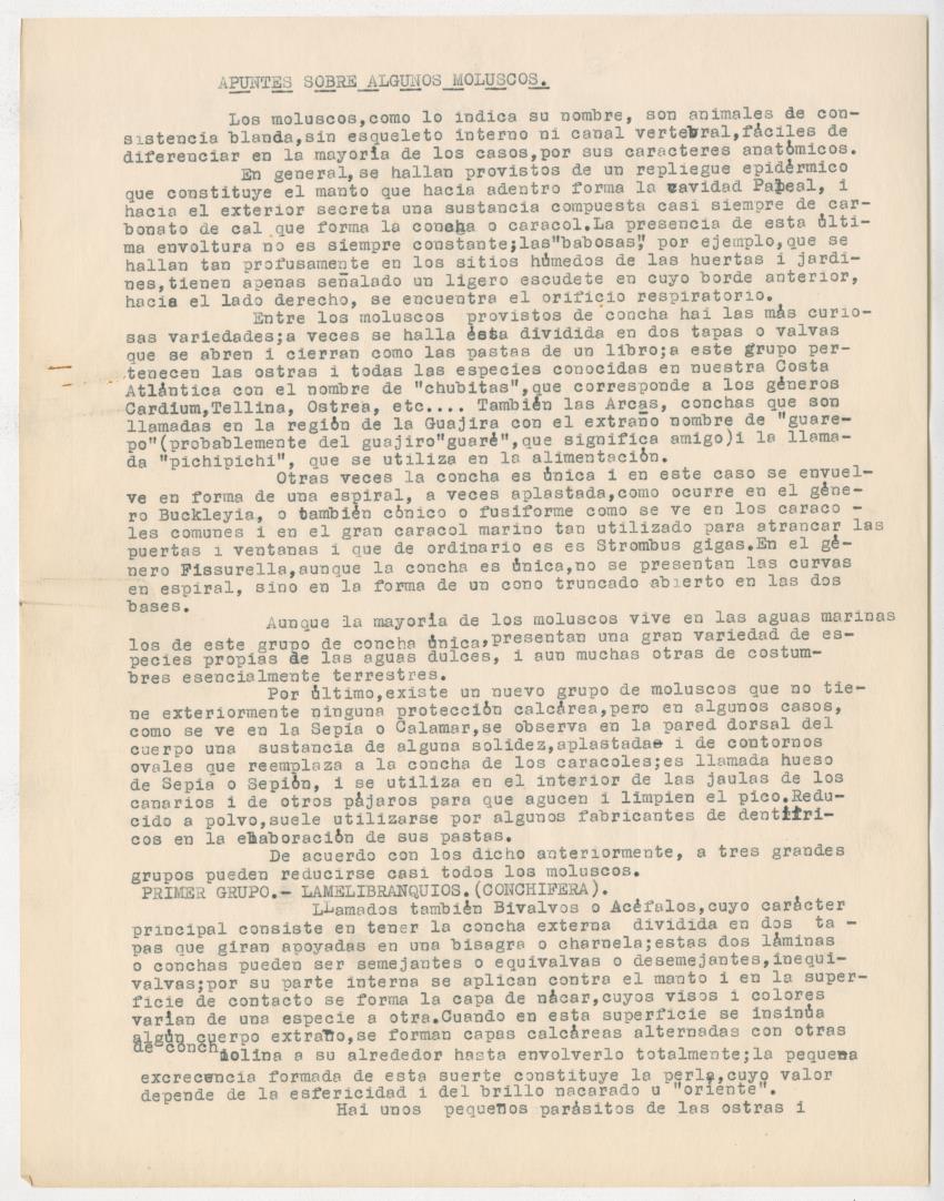 z Estudio de los Echinodermata y Moluscos - New Page