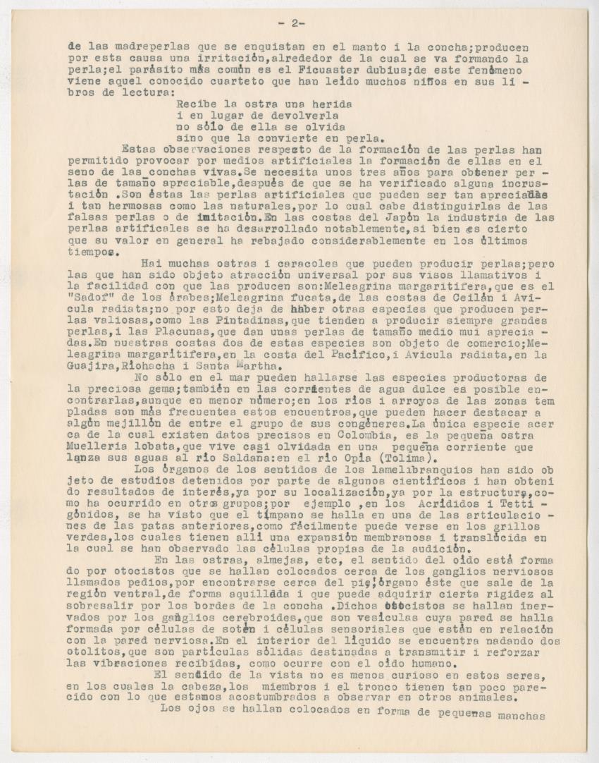 z Estudio de los Echinodermata y Moluscos - New Page