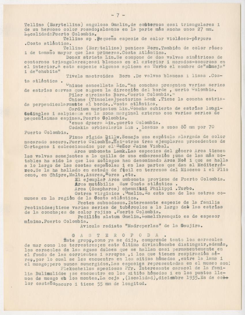 z Estudio de los Echinodermata y Moluscos - New Page