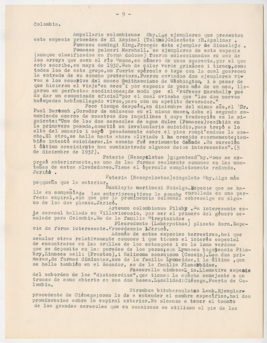 z Estudio de los Echinodermata y Moluscos - New Page