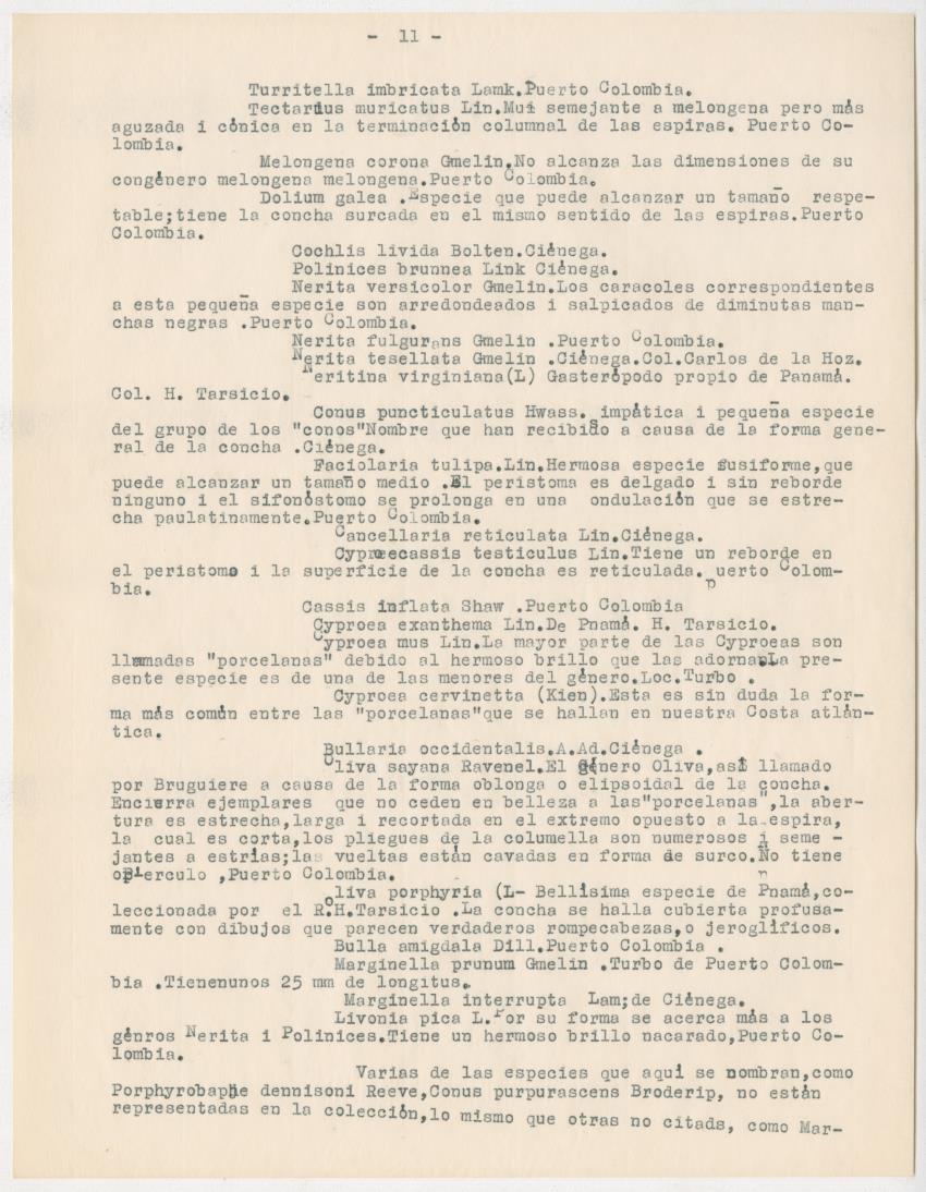 z Estudio de los Echinodermata y Moluscos - New Page