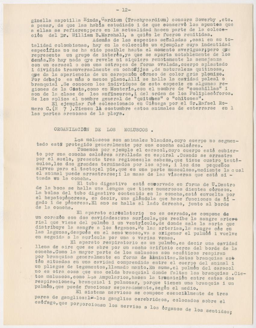 z Estudio de los Echinodermata y Moluscos - New Page