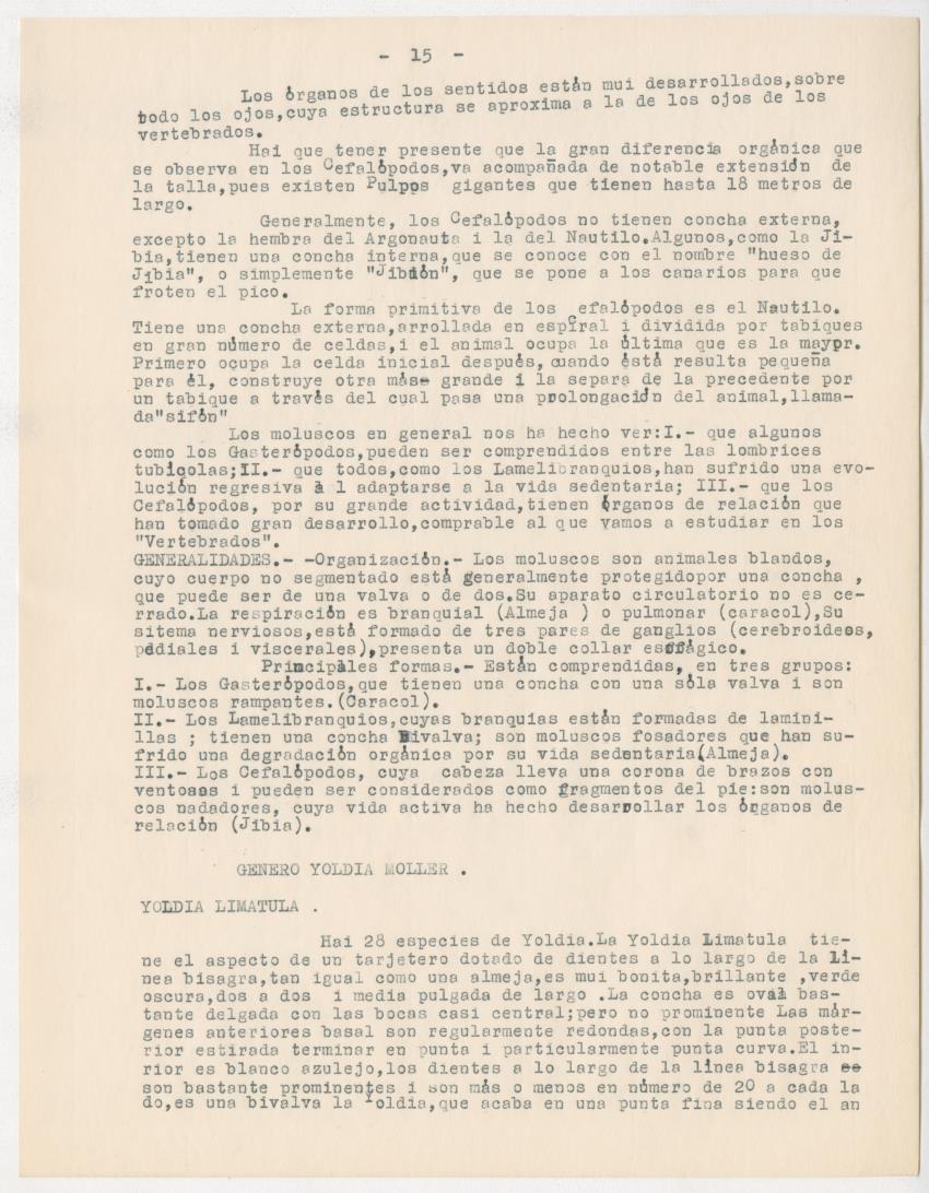 z Estudio de los Echinodermata y Moluscos - New Page