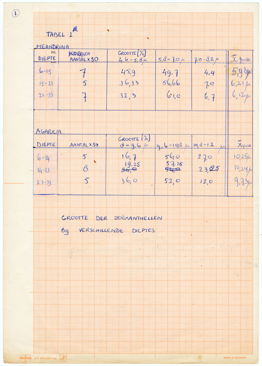 Grootte, Dichtheid en Chlorophylgehalte van de zooxanthellen van de koralen Agaricia agaricites en Meandrina meandrites - New Page