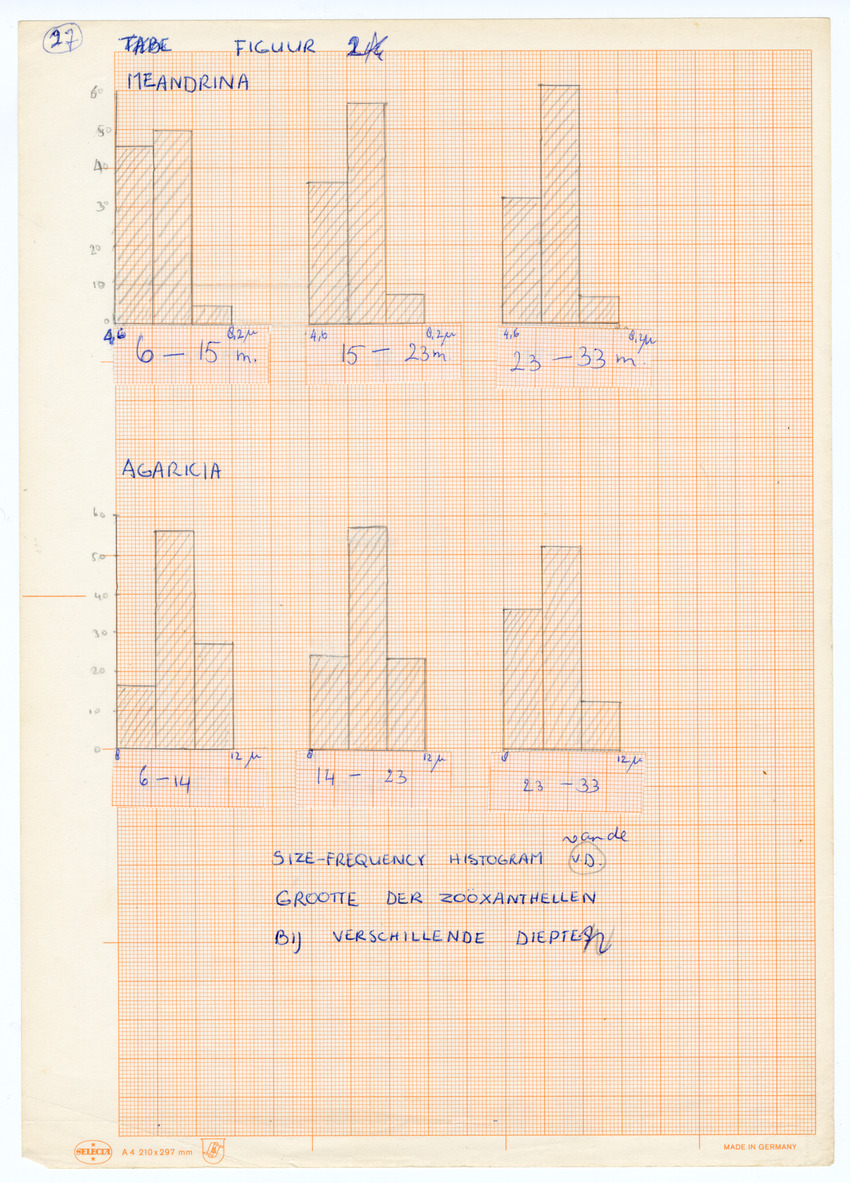 Grootte, Dichtheid en Chlorophylgehalte van de zooxanthellen van de koralen Agaricia agaricites en Meandrina meandrites - New Page