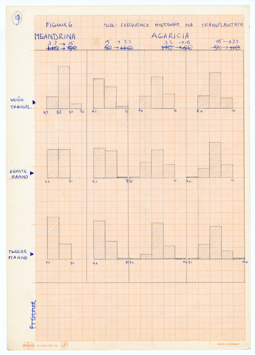 Grootte, Dichtheid en Chlorophylgehalte van de zooxanthellen van de koralen Agaricia agaricites en Meandrina meandrites - New Page