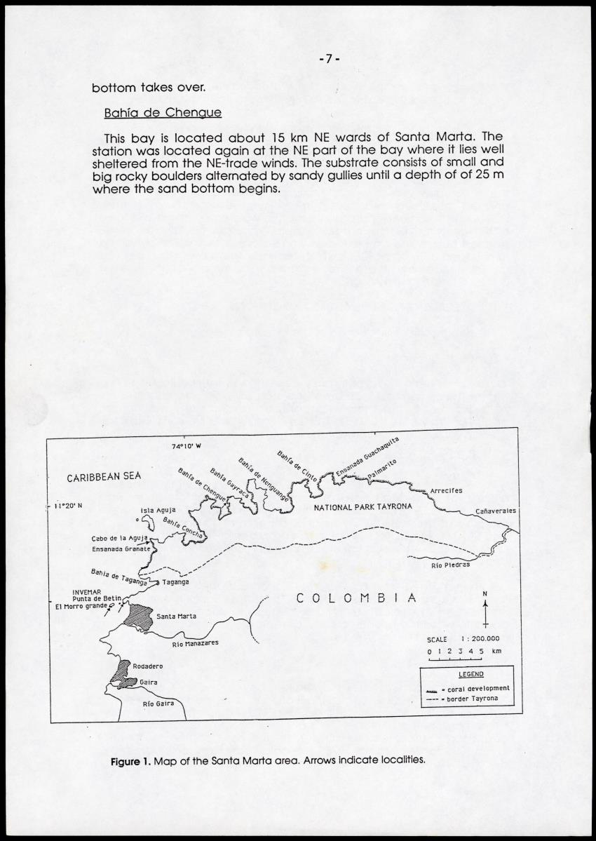 A comparison between quantitative taxonomic and physiognomic survey methods of hard substrate communities of the Santa Marte area, NE Colombia - Page 11