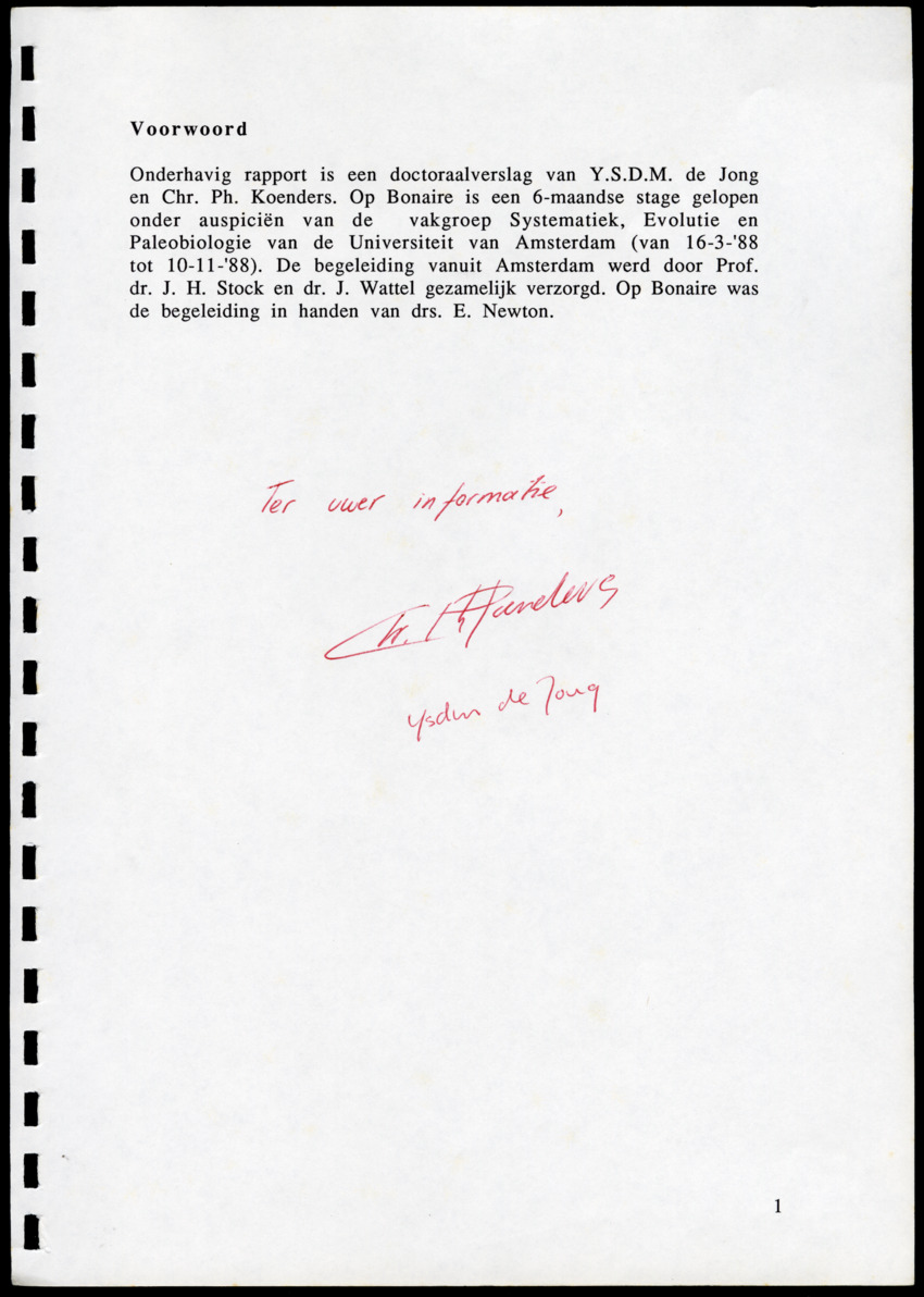 z Icterus icterus ridgwayi op Bonaire - New Page