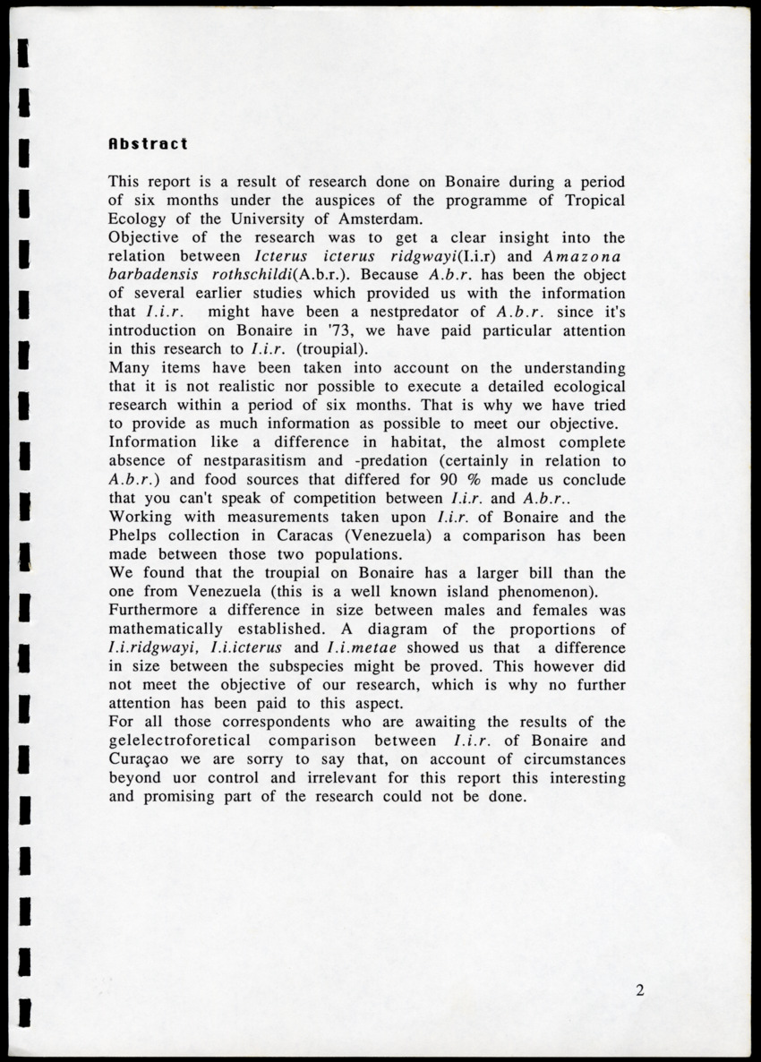 z Icterus icterus ridgwayi op Bonaire - New Page