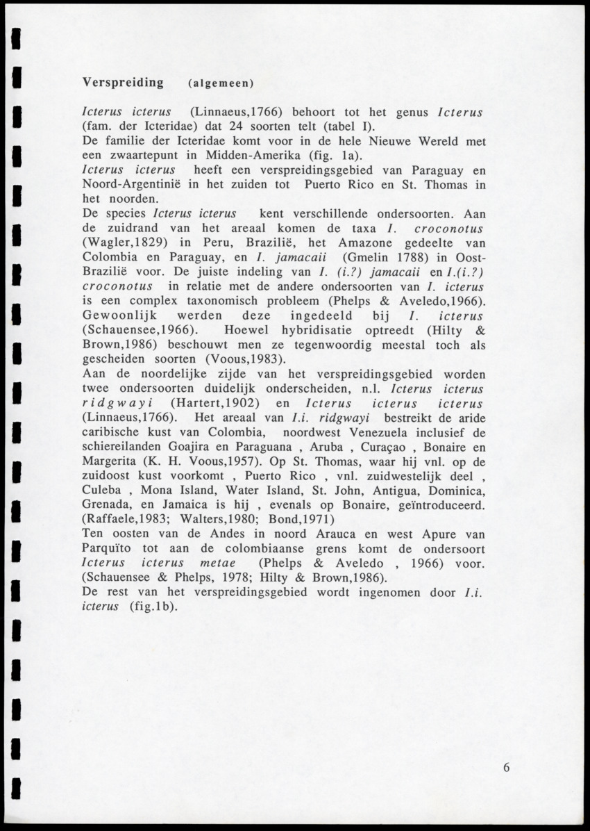 z Icterus icterus ridgwayi op Bonaire - New Page