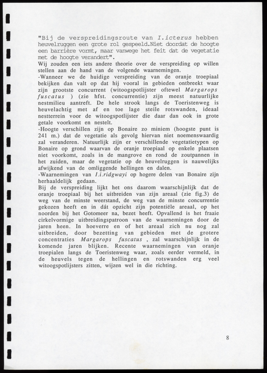 z Icterus icterus ridgwayi op Bonaire - New Page