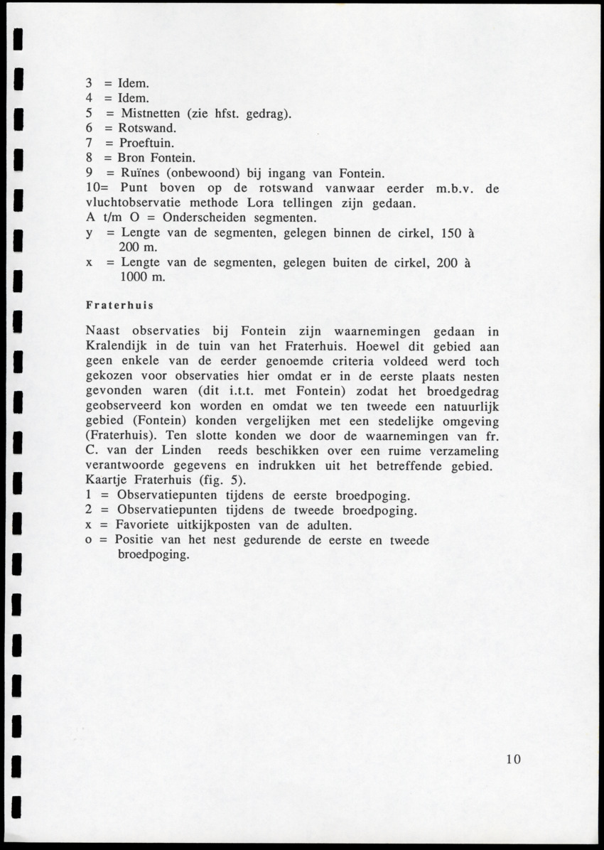 z Icterus icterus ridgwayi op Bonaire - New Page