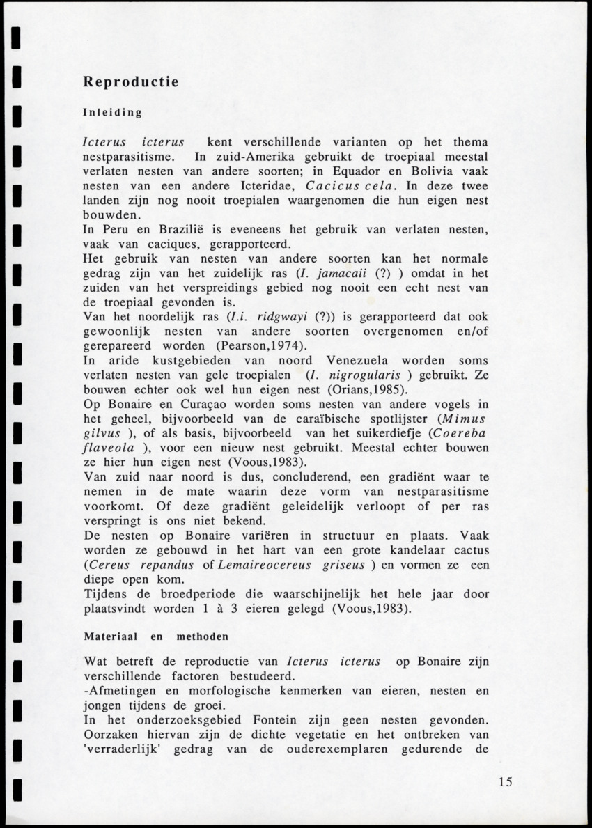 z Icterus icterus ridgwayi op Bonaire - New Page