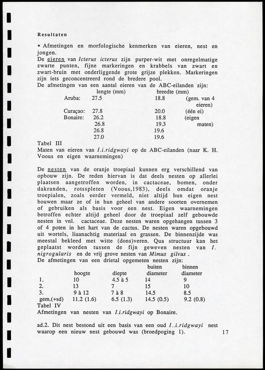 z Icterus icterus ridgwayi op Bonaire - New Page