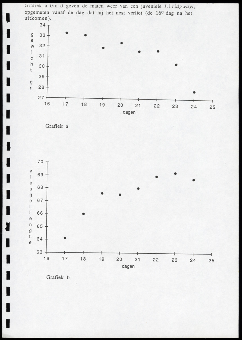 z Icterus icterus ridgwayi op Bonaire - New Page