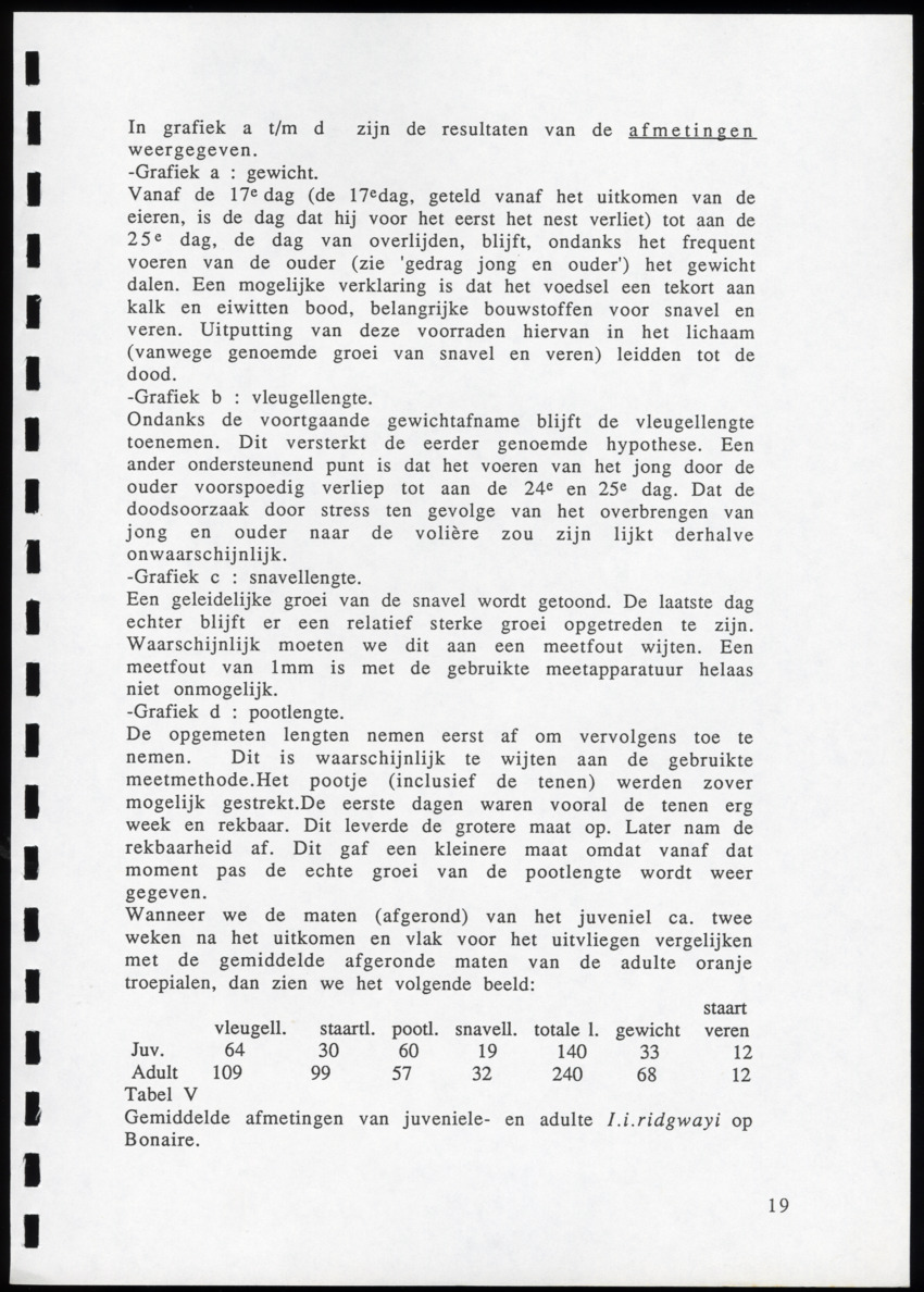 z Icterus icterus ridgwayi op Bonaire - New Page