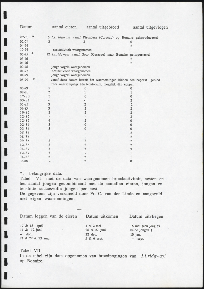 z Icterus icterus ridgwayi op Bonaire - New Page
