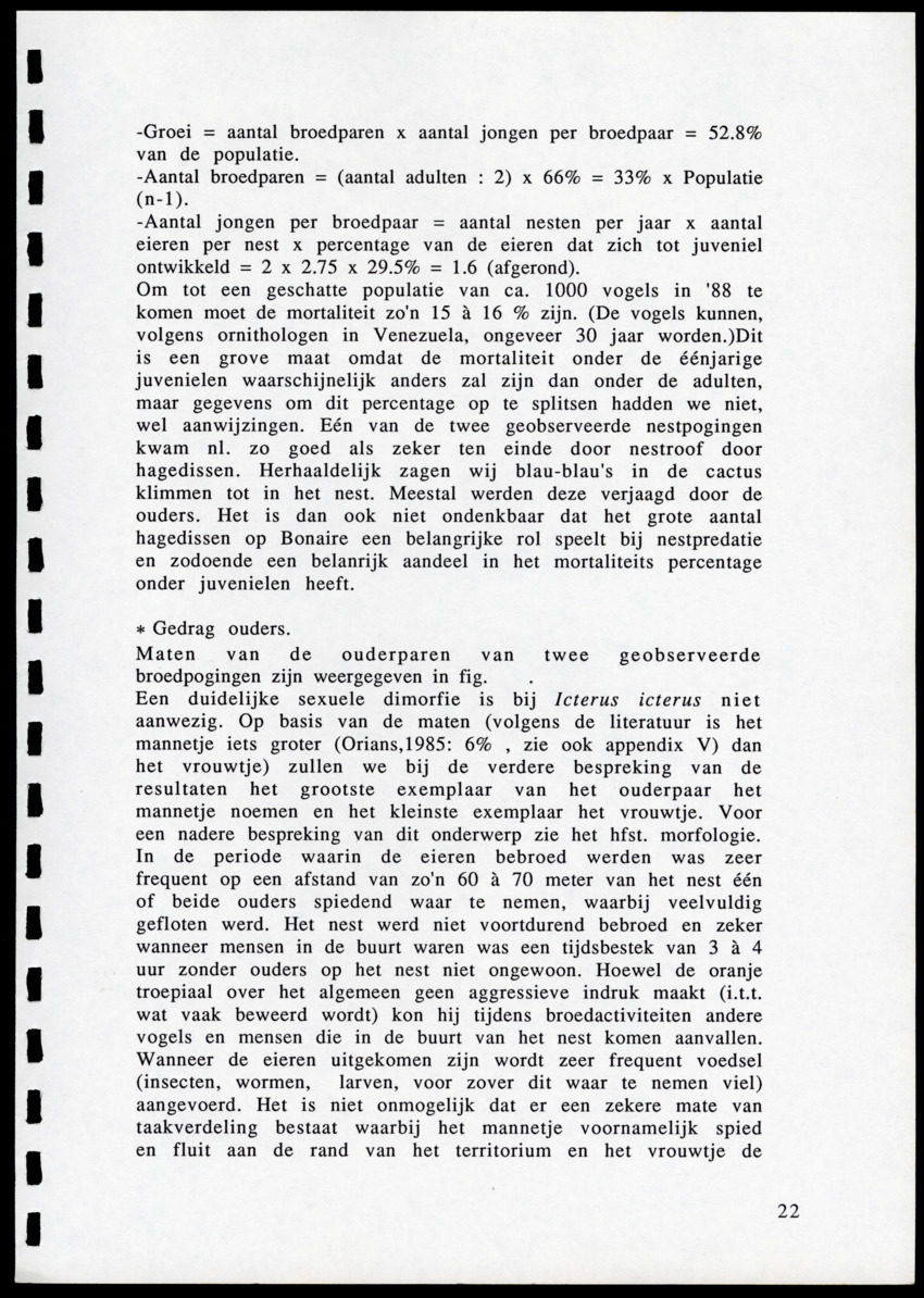 z Icterus icterus ridgwayi op Bonaire - New Page