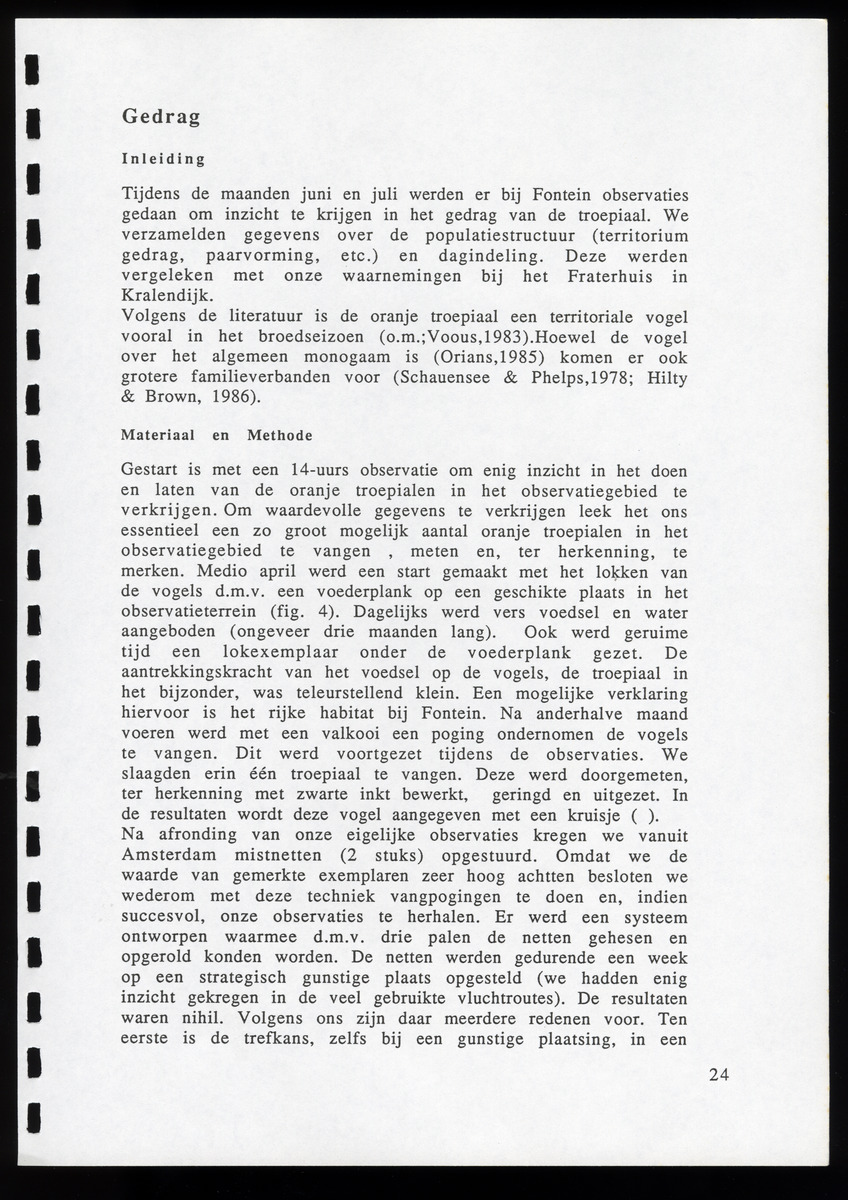 z Icterus icterus ridgwayi op Bonaire - New Page