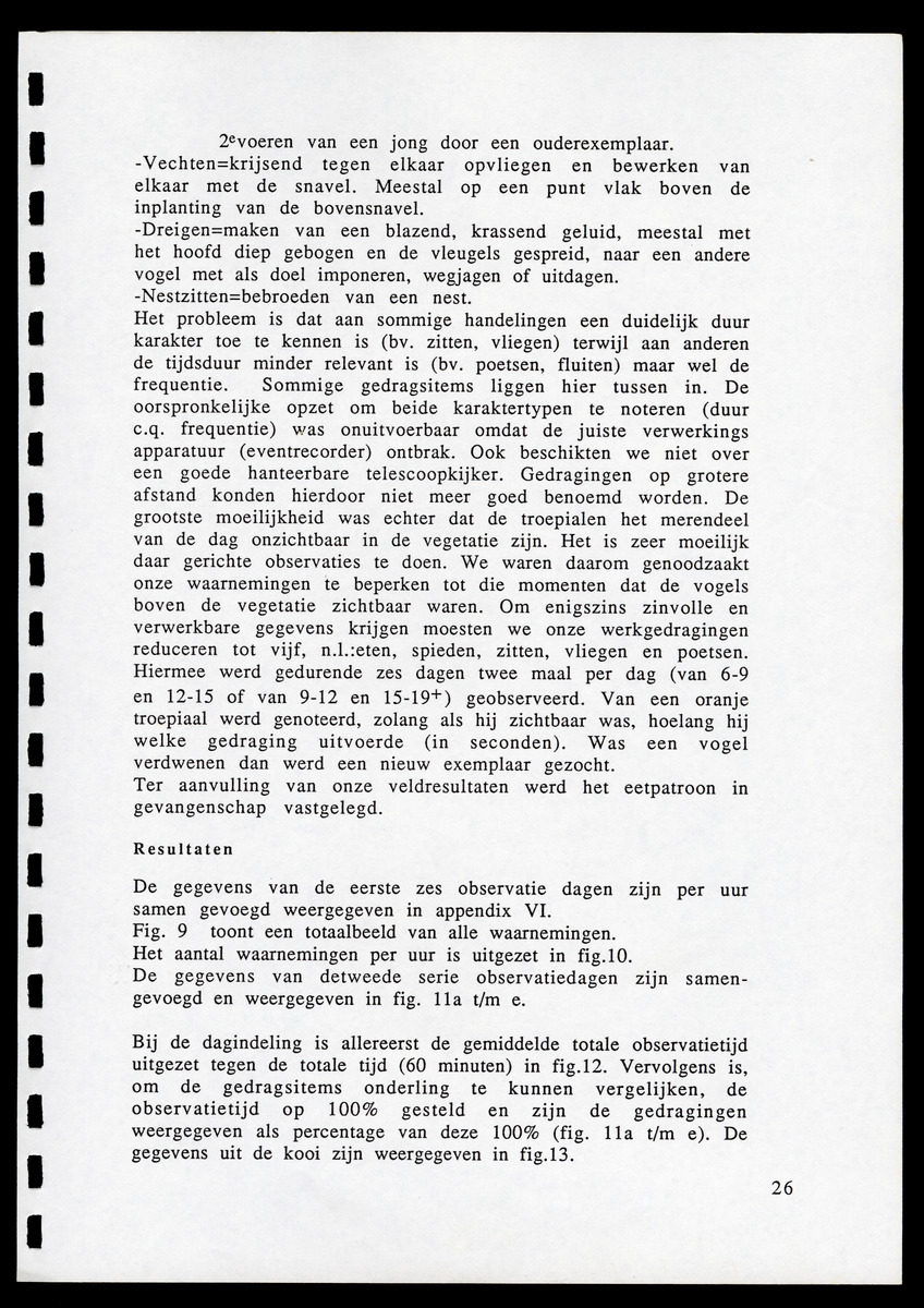 z Icterus icterus ridgwayi op Bonaire - New Page