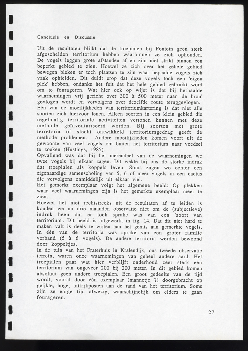 z Icterus icterus ridgwayi op Bonaire - New Page