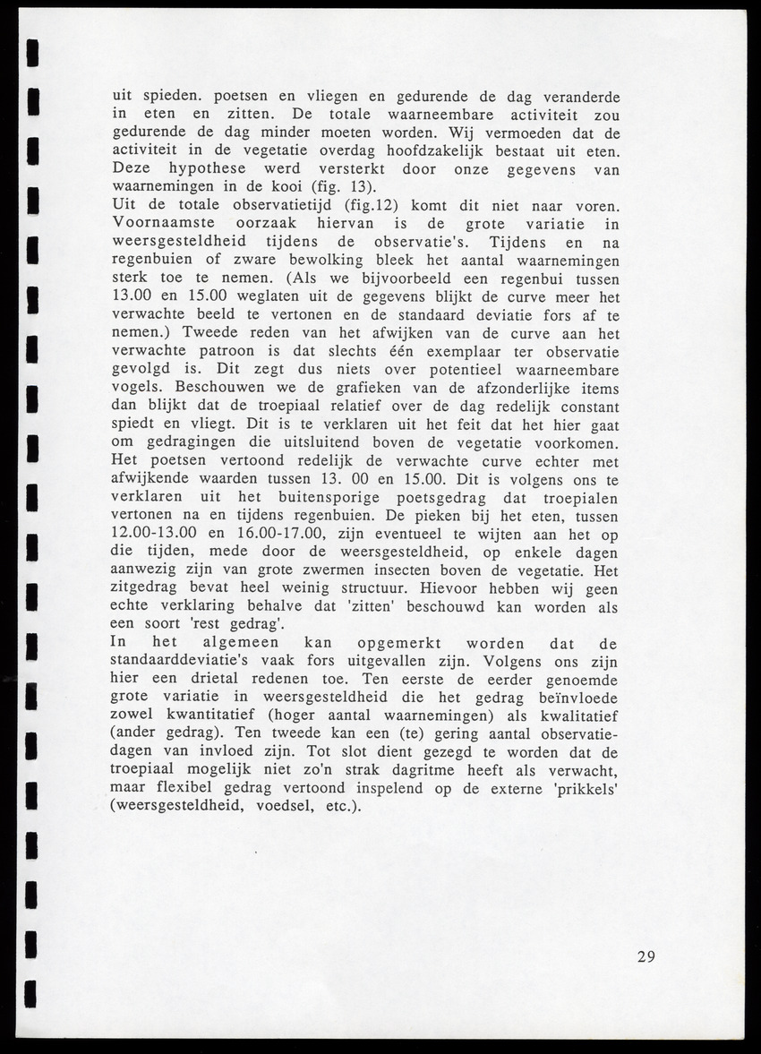 z Icterus icterus ridgwayi op Bonaire - New Page