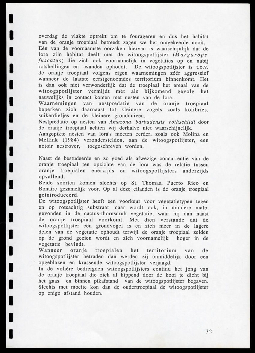 z Icterus icterus ridgwayi op Bonaire - New Page