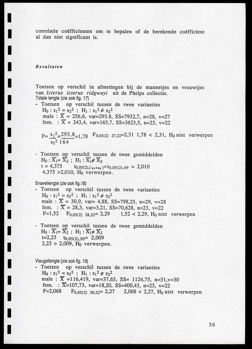 z Icterus icterus ridgwayi op Bonaire - New Page