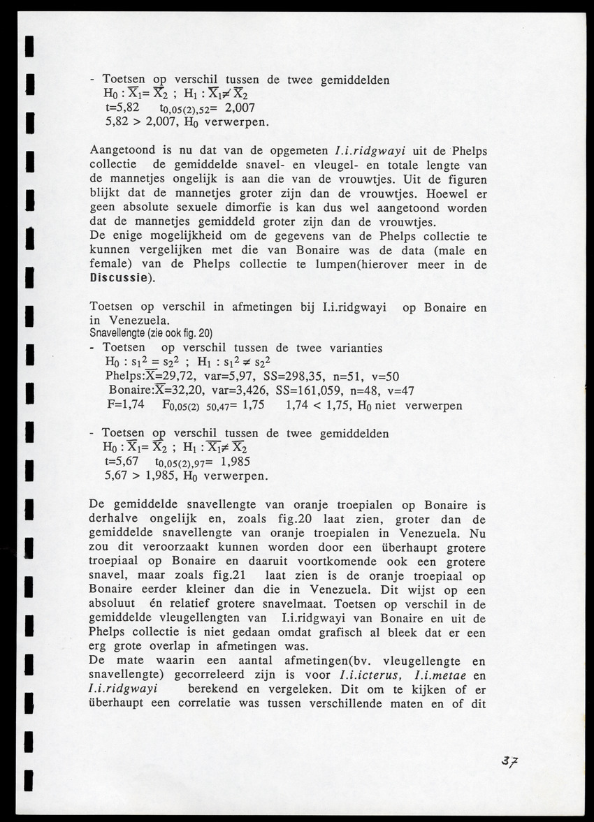 z Icterus icterus ridgwayi op Bonaire - New Page