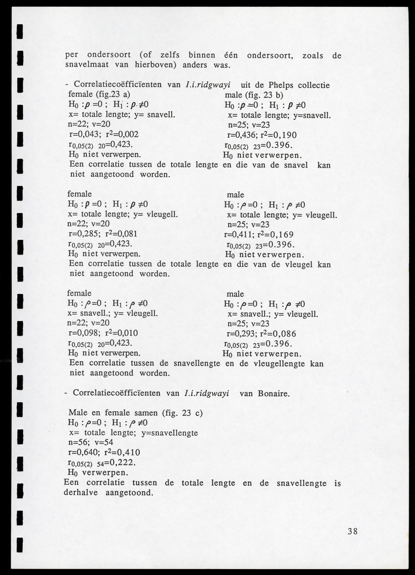 z Icterus icterus ridgwayi op Bonaire - New Page
