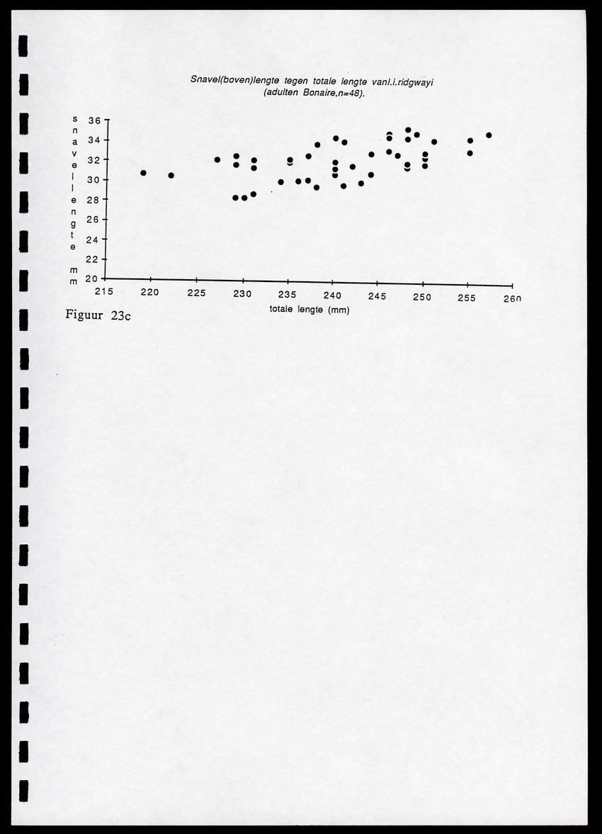 z Icterus icterus ridgwayi op Bonaire - New Page