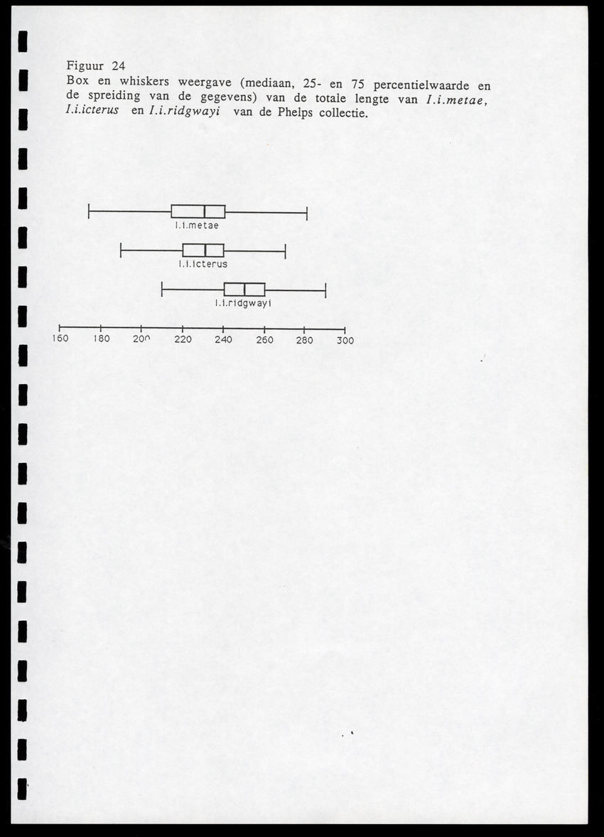 z Icterus icterus ridgwayi op Bonaire - New Page