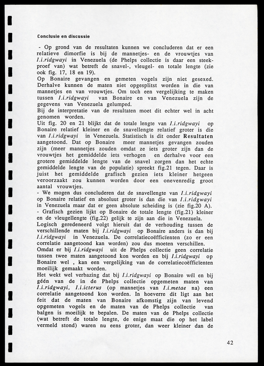 z Icterus icterus ridgwayi op Bonaire - New Page