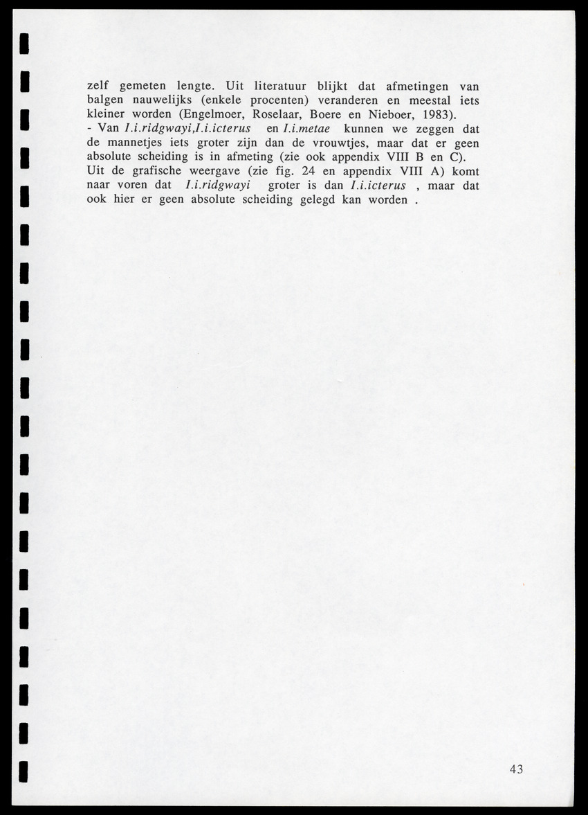 z Icterus icterus ridgwayi op Bonaire - New Page