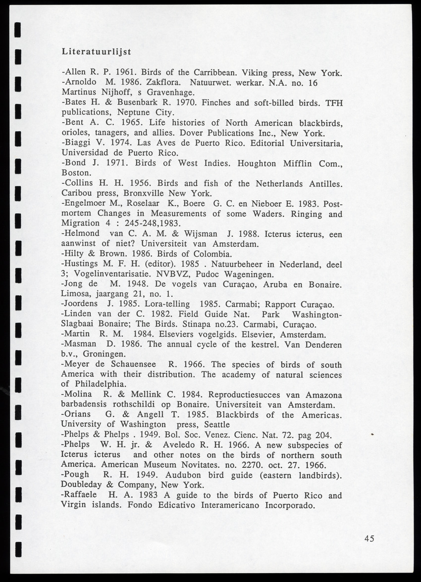 z Icterus icterus ridgwayi op Bonaire - New Page