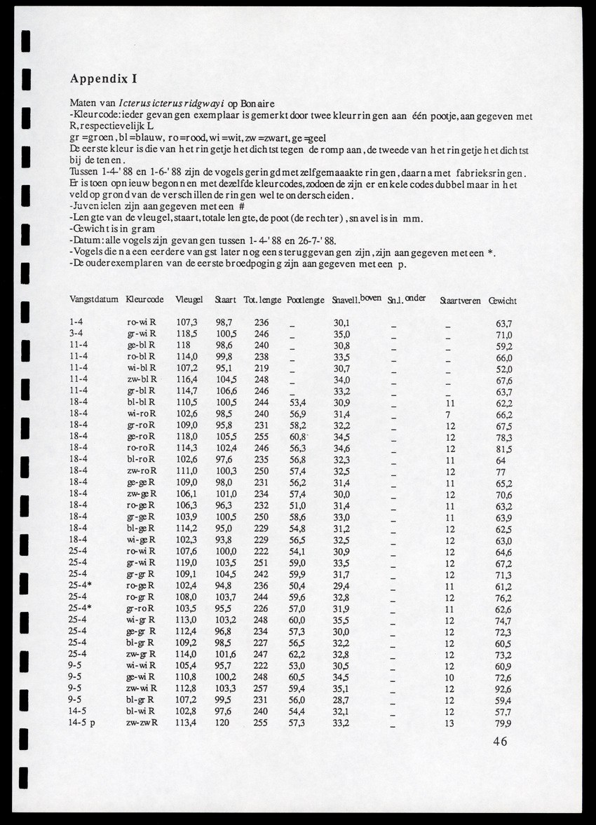 z Icterus icterus ridgwayi op Bonaire - New Page