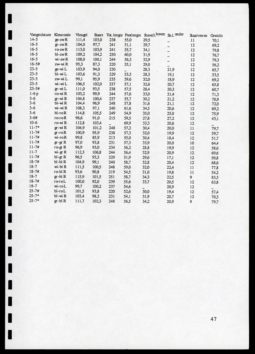 z Icterus icterus ridgwayi op Bonaire - New Page